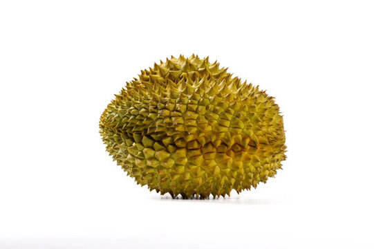 榴蓮