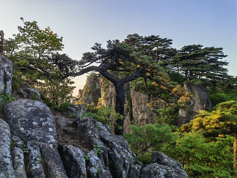 黃山始信峰