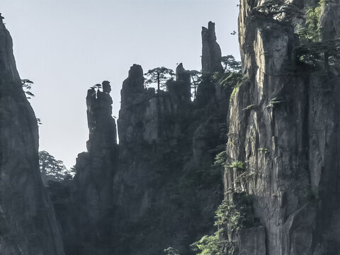 黃山