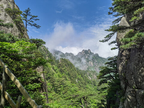 黃山巧石