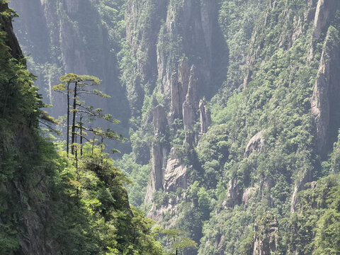 黃山三劍客