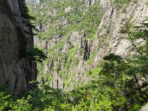 黃山奇石