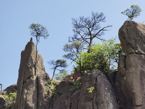 黃山步仙橋
