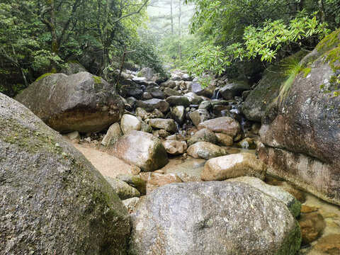 黃山