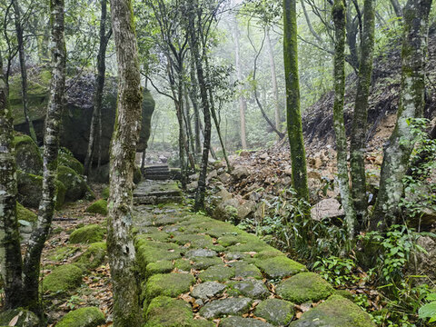 黃山云谷寺