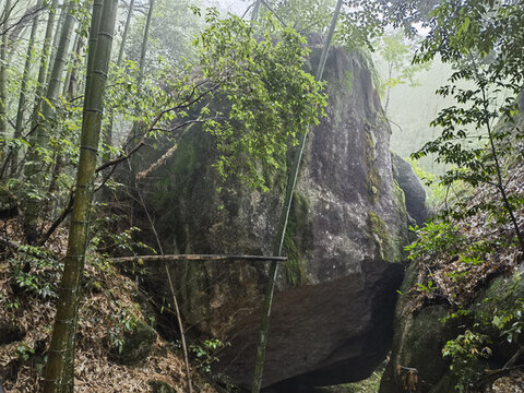 黃山云谷寺梅屋