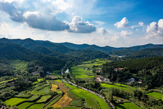 田園風(fēng)光