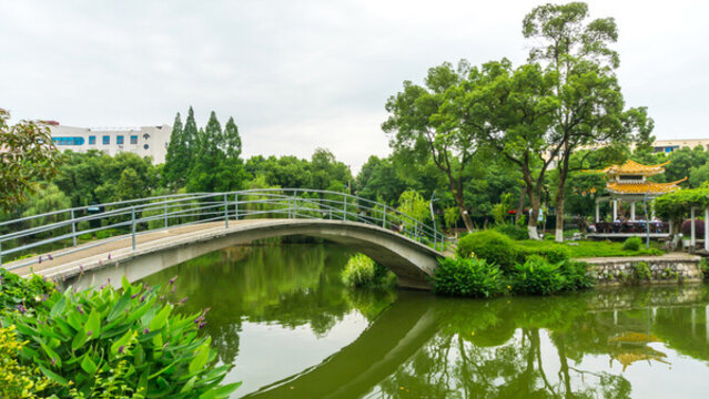 湖畔風(fēng)景