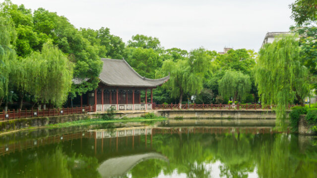湖畔景觀