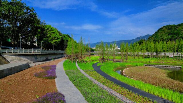 濕地公園花壇景觀