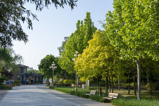 園林景觀