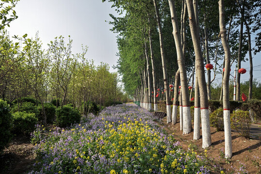 河北省晉州市周家莊鄉(xiāng)農(nóng)業(yè)觀光園