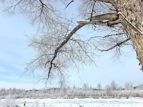 早春的雪