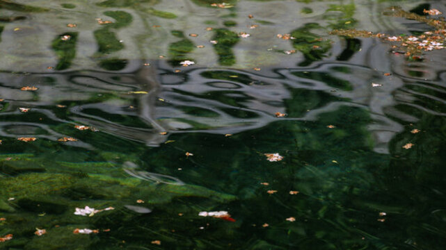 落花流水