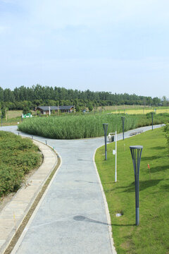 城市公園騎行綠道