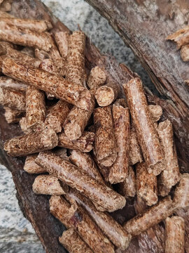 生物質(zhì)顆粒