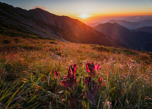 太白山日出