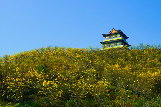 寺廟