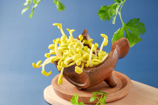 火鍋黃豆芽