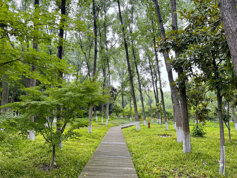 棧道