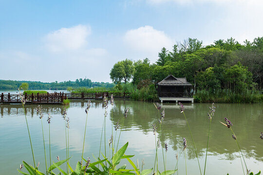 公園綠化