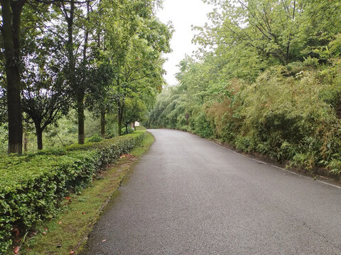 公園馬路