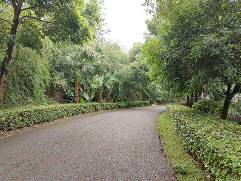 休閑道路