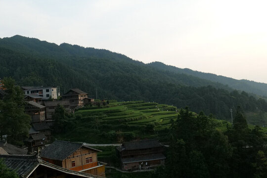 貴州肇興堂安梯田
