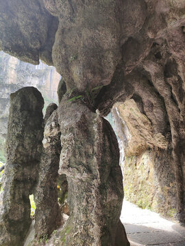 恩施大峽谷云龍地縫