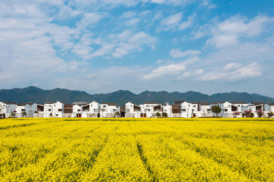 杭州富陽東梓關(guān)油菜花和民居風(fēng)光