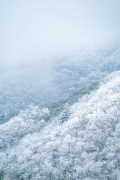 浙江杭州臨安龍王山下雪滿山霧凇