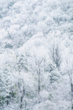 浙江杭州臨安龍王山下雪滿山霧凇