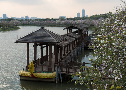 廣州海珠濕地公園自然風光