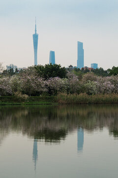 廣州海珠濕地公園自然風(fēng)光