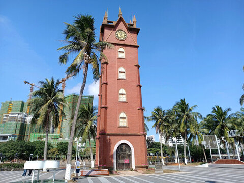 海口鐘樓椰樹