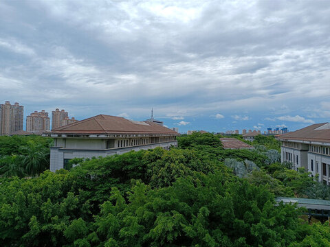 城市建筑樹木