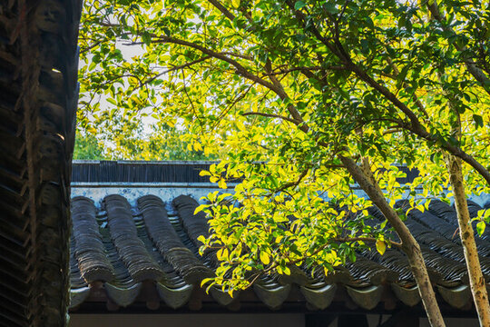 烏鎮(zhèn)古鎮(zhèn)古建筑的細節(jié)特寫