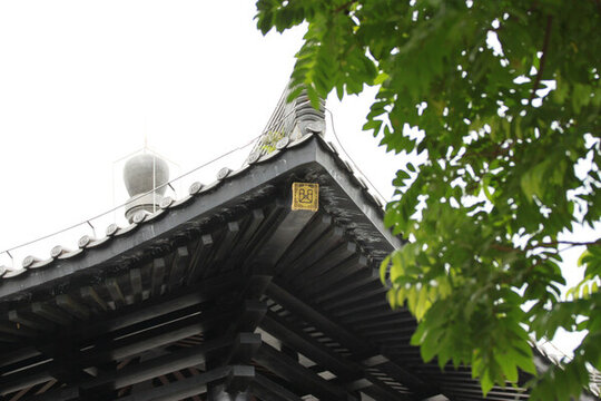 廣州文化館屋檐