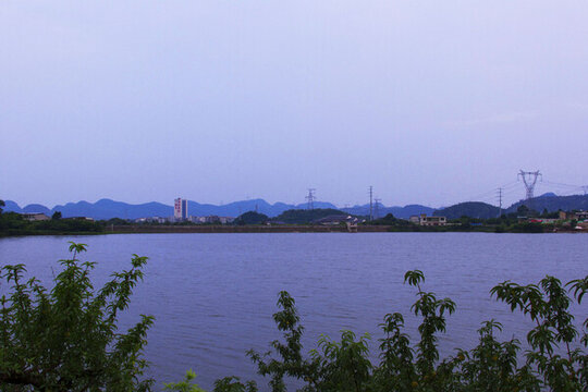 仲夏楊湖景色美