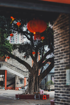 東莞石排云崗古寺
