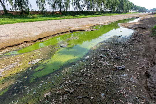 河南大旱河水斷流河底龜裂