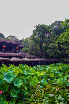 成都人民公園