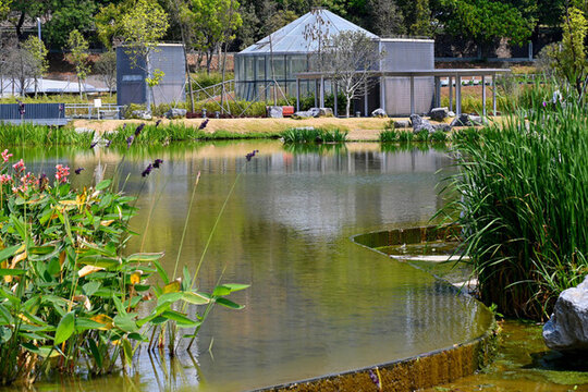 洪湖公園風(fēng)光