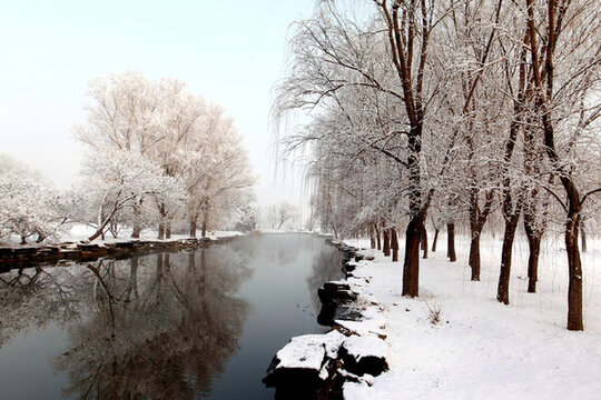 雪景