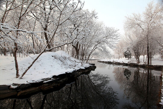 雪景