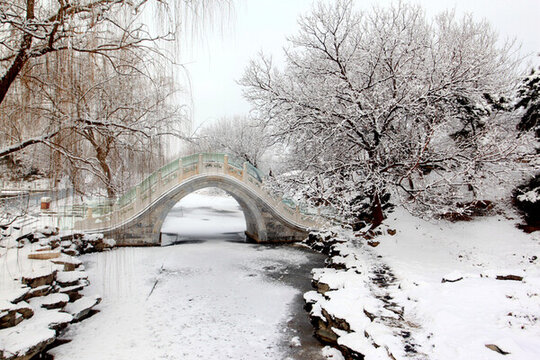 雪景