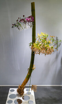 插花藝術(shù)