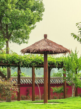 公園涼亭