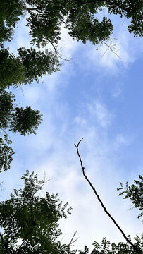 天空