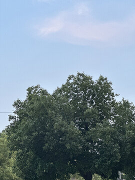 藍天白云